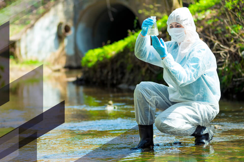 Science and the Environment